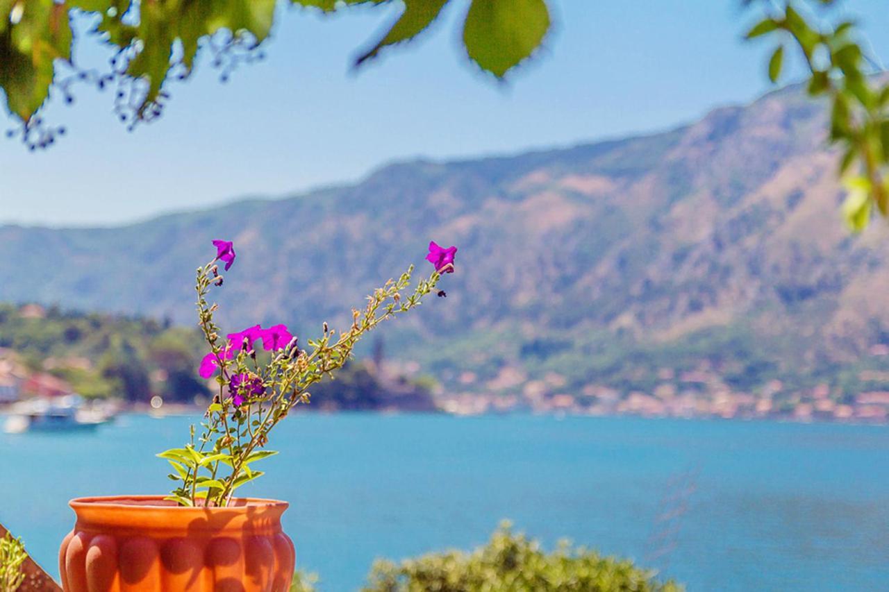 Villa Donkovic Kotor Dış mekan fotoğraf