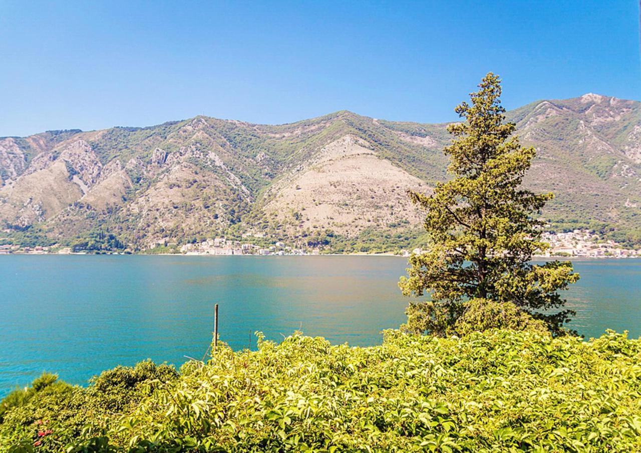 Villa Donkovic Kotor Dış mekan fotoğraf