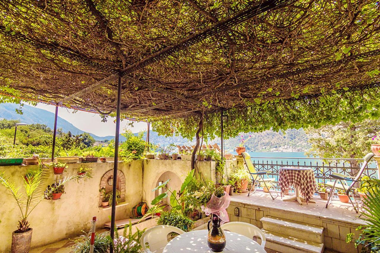 Villa Donkovic Kotor Dış mekan fotoğraf